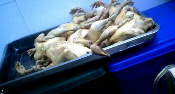 安徽商报|合肥突查绿茶餐厅！