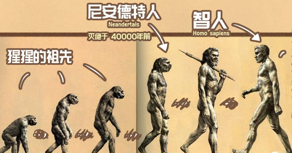 【尼安德特人】100万年前,他们和人类的祖先是兄弟,却被我们祖先“吃”掉,原因残忍恐怖!