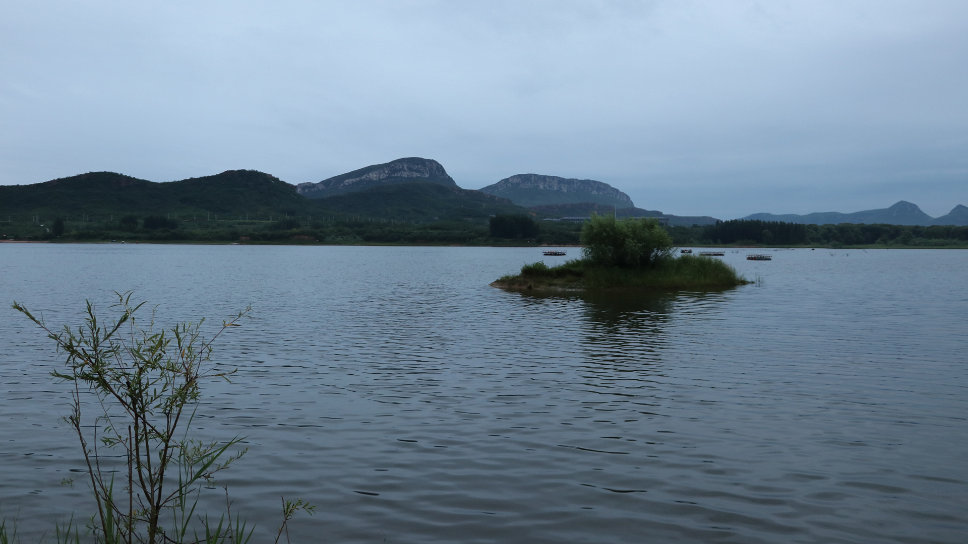 饵料|看看风向风力，今天适合钓鱼吗？无师自通有答案