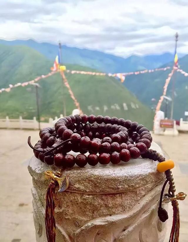 #凤眼菩提#关于凤眼，满满的知识点！