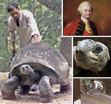 「基因」什么在于运动,为什么豹跑的快却死的早,龟爬的慢却能长寿?