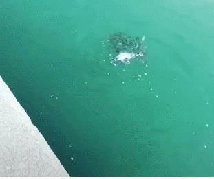 |“美女，刮风天还是不要穿裙子了，这样的造型很让人尴尬啊！”哈哈哈