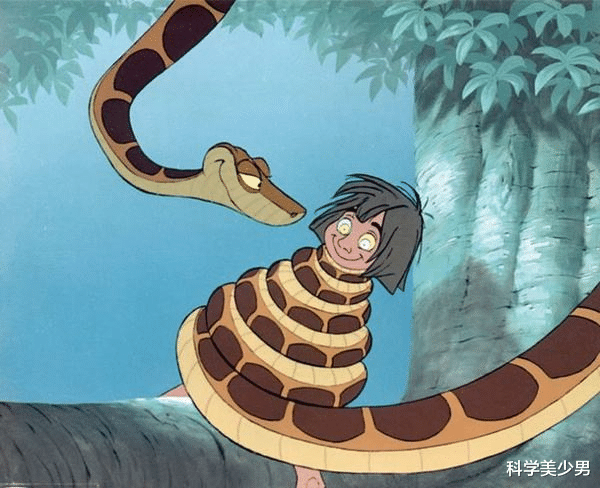 毒蛇|蛇的弱点是什么，打蛇真的打七寸？别逗了，这样才能一招致蛇