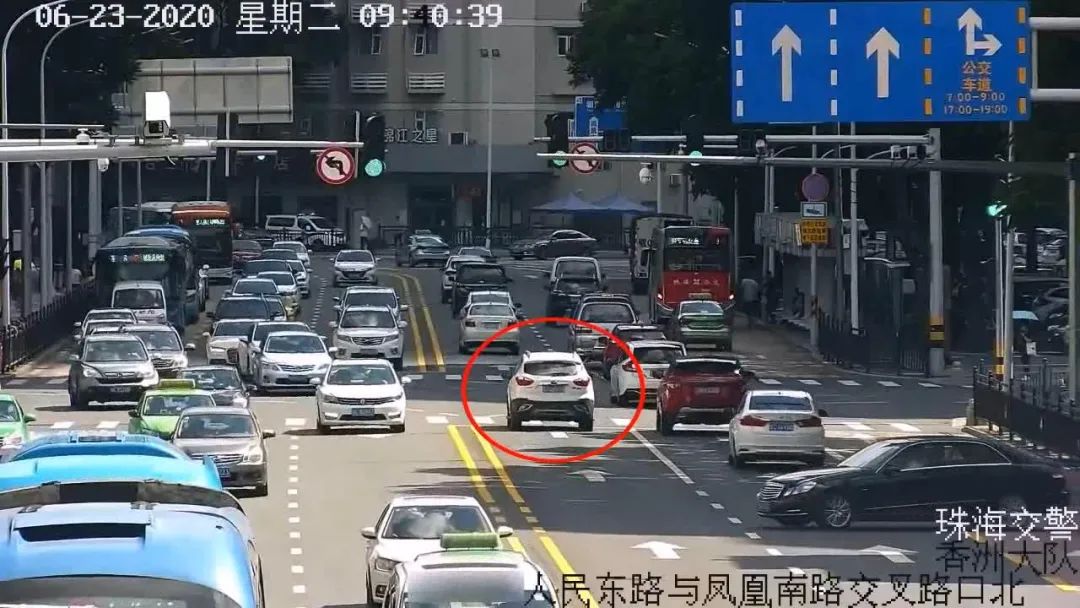 中山▲中山男子爬横琴山被竹叶青咬中！做这个错误动作，引蛇二度攻击！