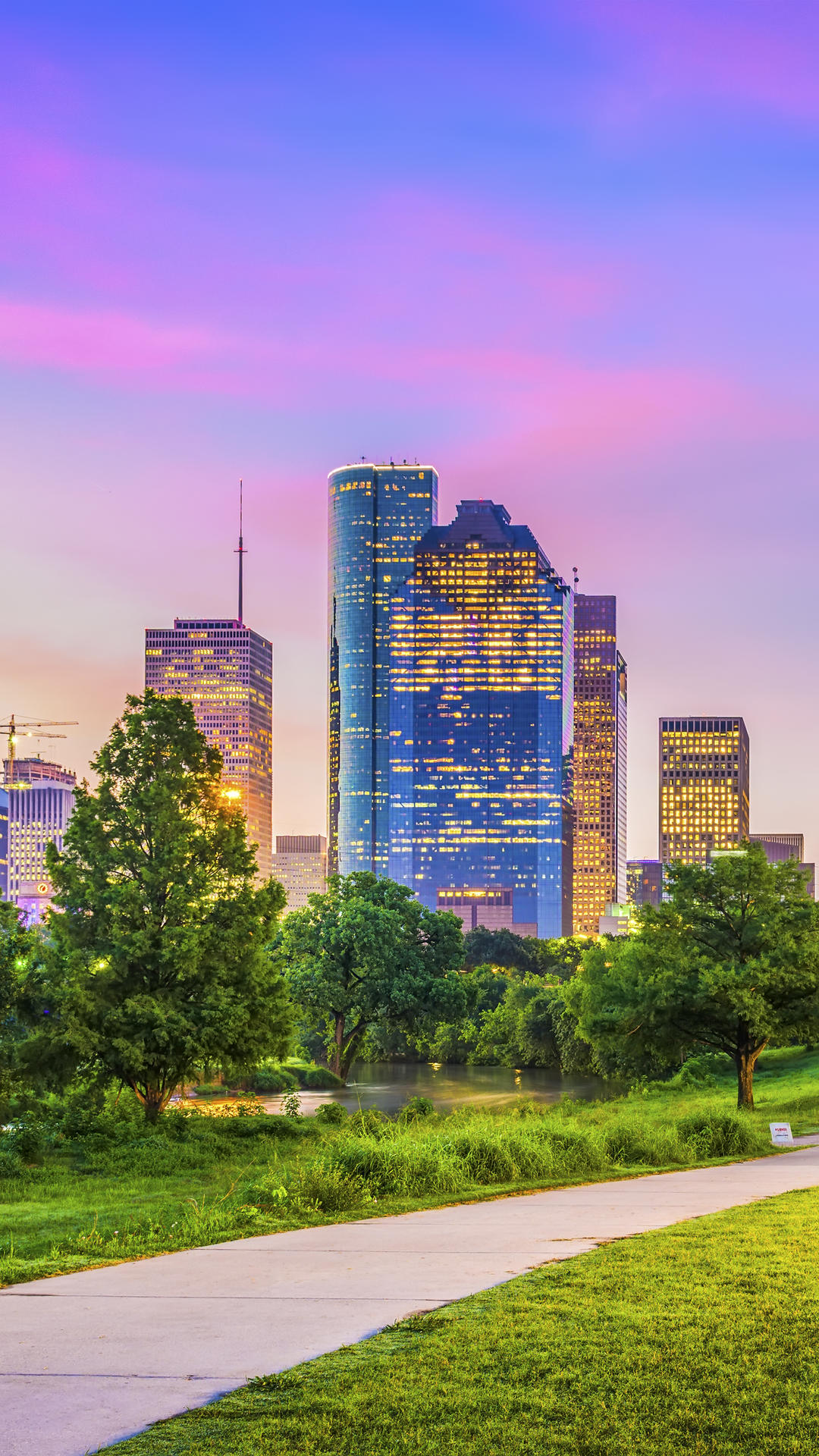 物理|学霸选物化,政治成冷门?揭秘选考结果与高考成绩的奇妙关系