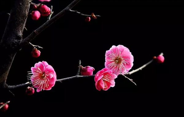 【生肖】6月19号财运、事业一路高升，贵人提携，钱财主动上门的生肖