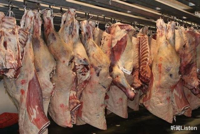 澳洲|40艘巨轮奔向中国，却被俄罗斯半道截胡，澳洲这次真的扛不住了？