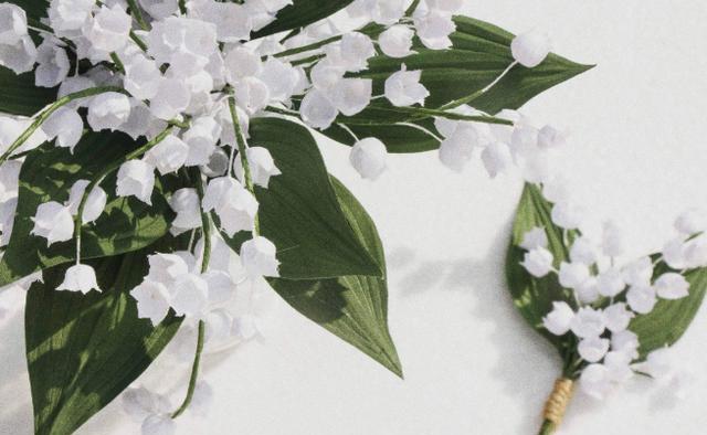 摩羯男▲6月份，勇敢出击寻找爱情，愿意参加相亲，努力生活的星座