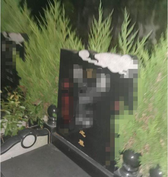 半岛晨报|男子凌晨误入山中被野狗逼上绝路，打开手机闪光灯发现在墓地里