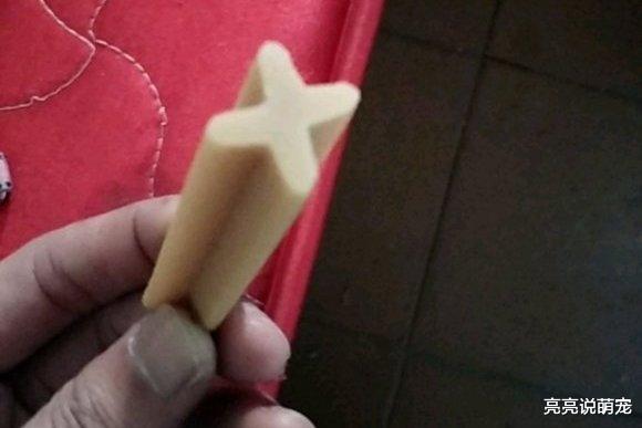 金毛身体太单薄，网友给它买肉补补，狗：要是炖熟就更好了