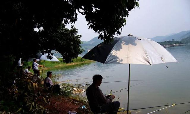 ##钓鱼打窝时，注意这3点，熟记5须知，钓好鱼不难