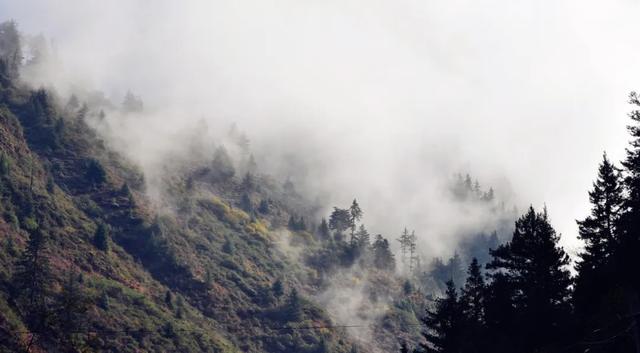#华山#比九寨野，比黄龙仙，这里都是沟，美绝了！