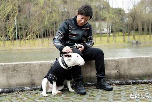 极限挑战|综艺《极限挑战》被骂上热搜，导演严敏打下的江山，被谁毁了？