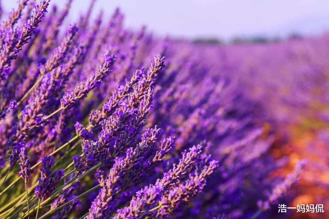 「生肖」6月23号,一顺百顺,3生肖大难已过,财运进门,挡也挡不住