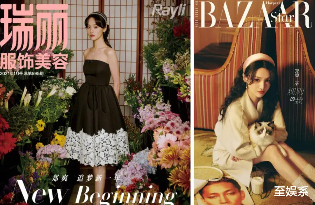 郑爽|郑爽背后的京圈大佬们