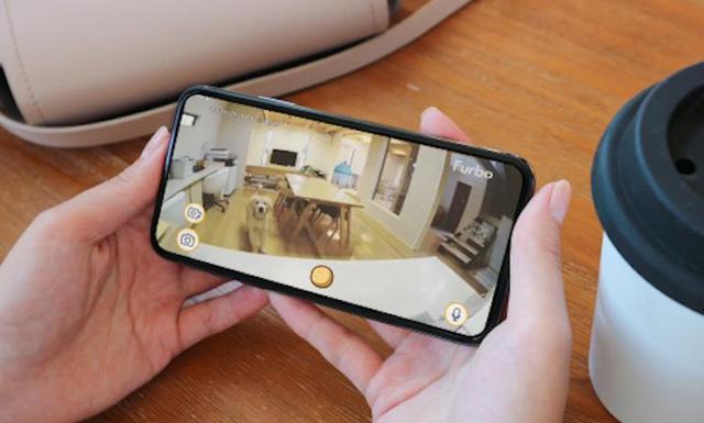 “留守宠物”怎么过年？自动铲屎的智能猫厕所销量暴涨26倍！