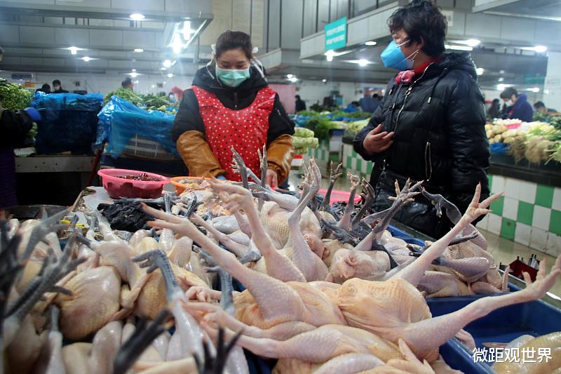 伦理|为何人类通常吃食草动物的肉，却很少吃食肉动物？看完你就懂了