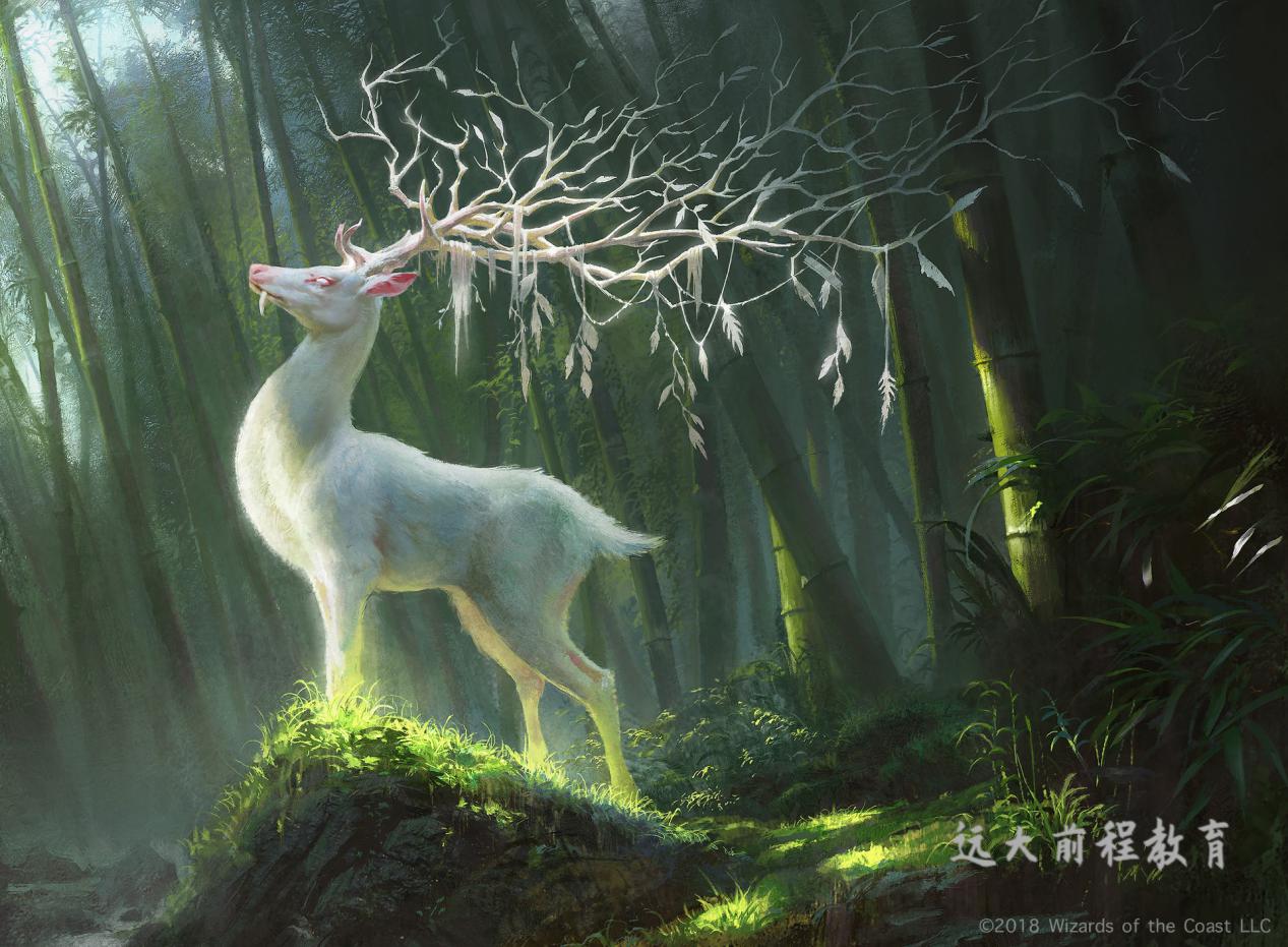 【成人高考】成人高考报考年龄