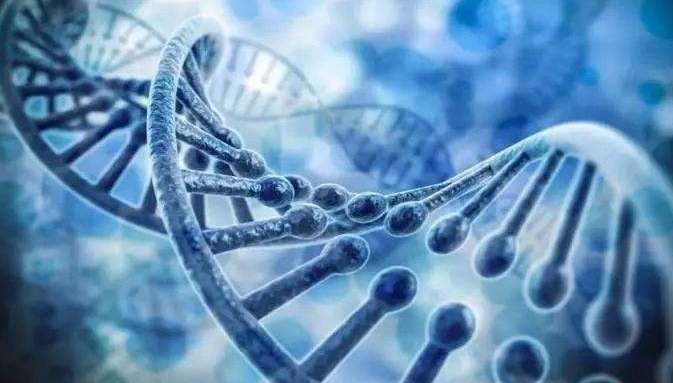 毒液|人类为什么直到现在还没有进化出毒液的技能？含毒动物付出的代价太大了