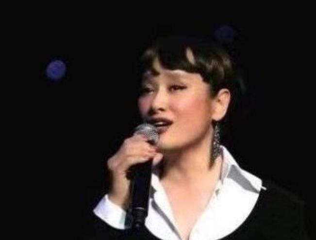 春晚|春晚走红的女歌手：董文华功成名就，56岁的她却因病去世