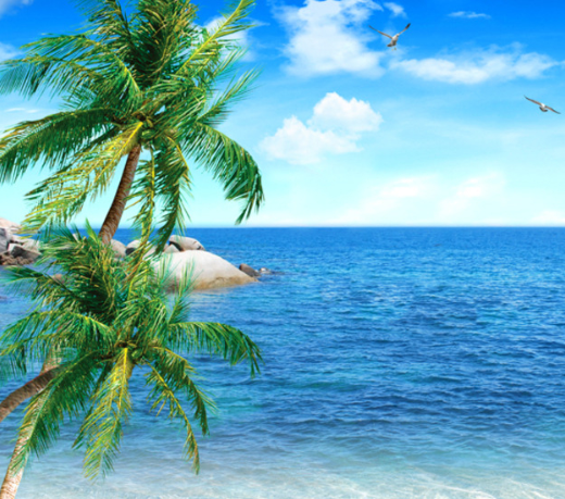 高校|高校退档的主要理由是什么?