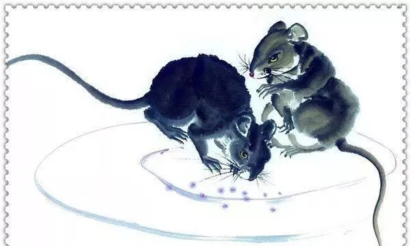 #属鼠#属鼠的富豪出生月份 哪天出生大富大贵