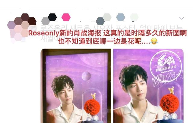 肖战|肖战代言登韩国热搜，七夕新品小细节，与肖战的画有关