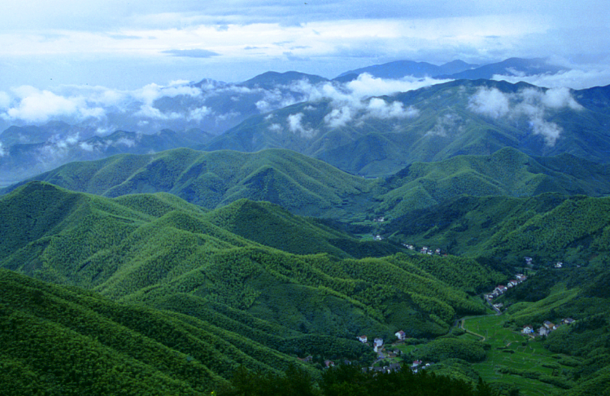 #莫干山#这座小县城是上海人的后花园,是夏季避暑的不二选择,杭州出发仅1小时!