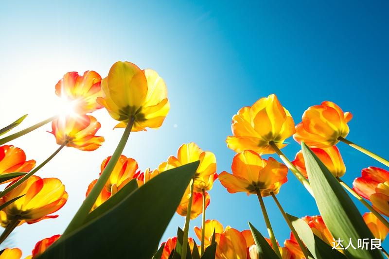 运势|9月开始财源大开,运势逆转,有贵人指点,苦尽甘来的4大生肖