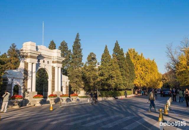 大学生|为啥一般公务员考试，很少看见985大学生参加？这4个原因很真实