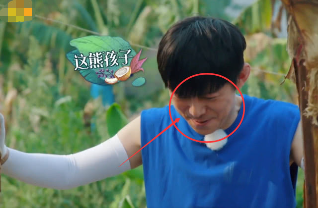 『何炅』向往4：香蕉砸地上，何炅首次一言不发没救场，谁注意郭麒麟咋摘的？