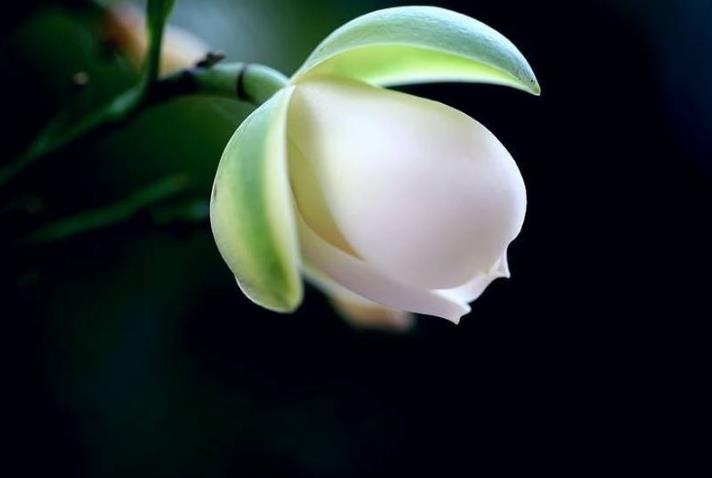 运势|八月开始,运势攀升,财源翻番涨,财富如雨的生肖