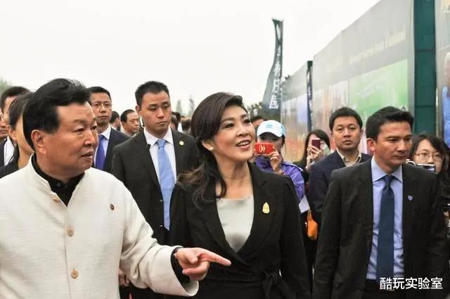 算法|红牛正在用红牛搞垮红牛