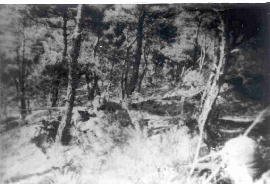 秦桧|抗美援朝最惨烈的一战——冰雪长津湖，我在这里守阵地！（上）