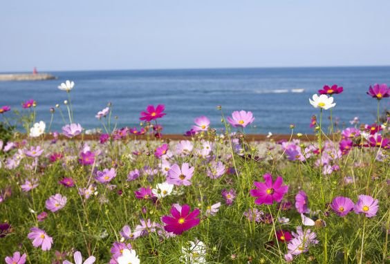天秤座|8月中旬开始，财运旺旺旺，4属相得贵人相助，生活一帆风顺
