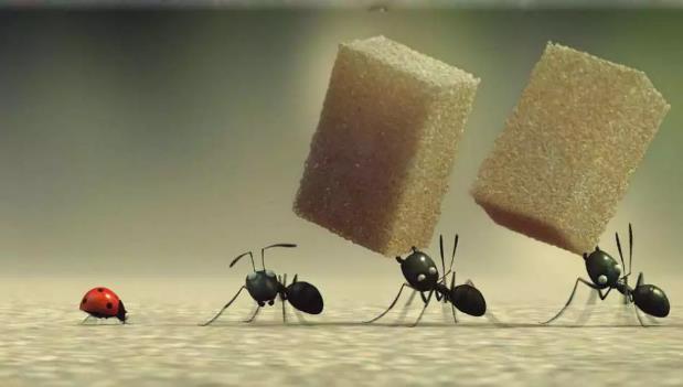 「科学家」蚂蚁是二维世界生物，那它们看人类是什么样子呢？科学家给出答案