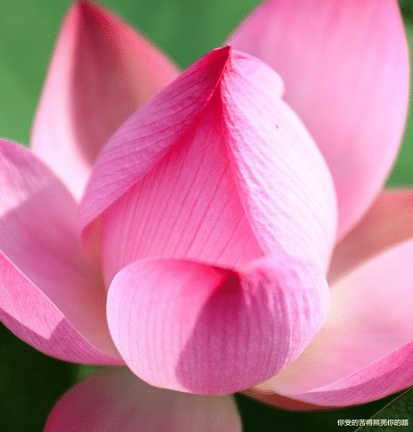 |9月18号开始，4属相喜事滚滚来，事业顺风顺水，生意红红火火