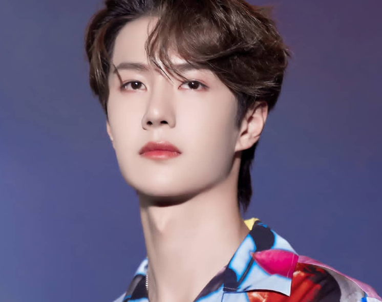 王一博|粉丝全力以赴，为肖战王一博赢6月鲜花榜冠军，博君一肖实至名归