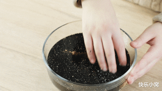 破壁机|寒露不光是节气，也是提醒你该吃这东西了，润肺益胃，养阴防燥！