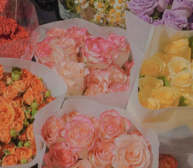 处女座|越相处越喜欢的星座，回味无穷，魅力大，时间是一把“美工刀”