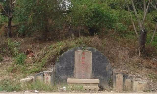 柳树|这棵树在墓门前。盗墓贼转过头就走了，他一片土也挖不动