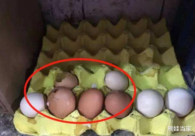 熊娃当家|4岁孩子超市摔碎鸡蛋，店员要求10倍赔偿，宝妈的做法令人称赞