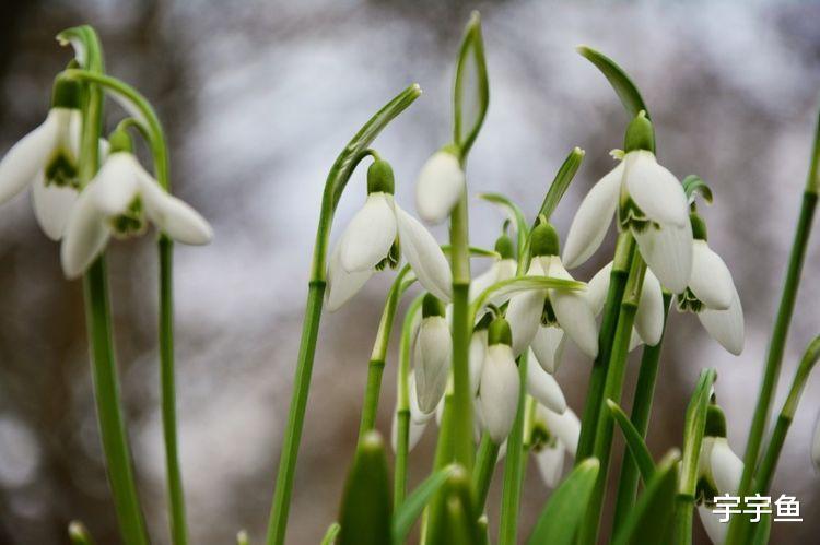 处女座|9月开始事业突飞猛进，喜事临门，让人惹不起的四大生肖