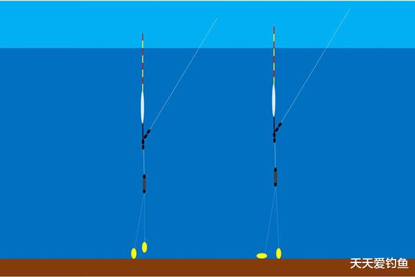 |钓鱼调漂别盲目：调几目？钓几目？是这样确定的！