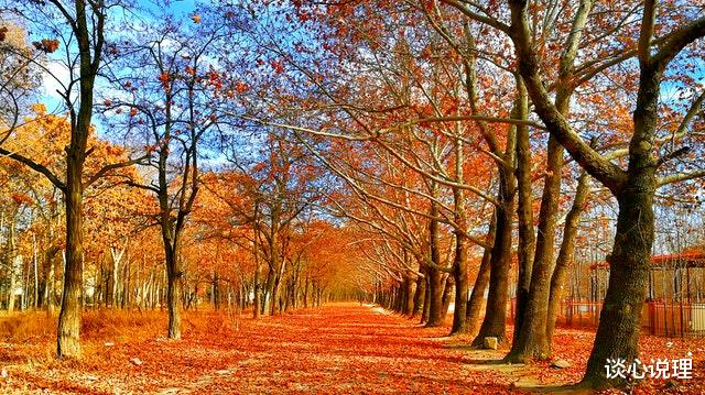 金牛座|15天后，如胶似漆，形影不离，3星座邂逅真爱，余生携手相爱相依