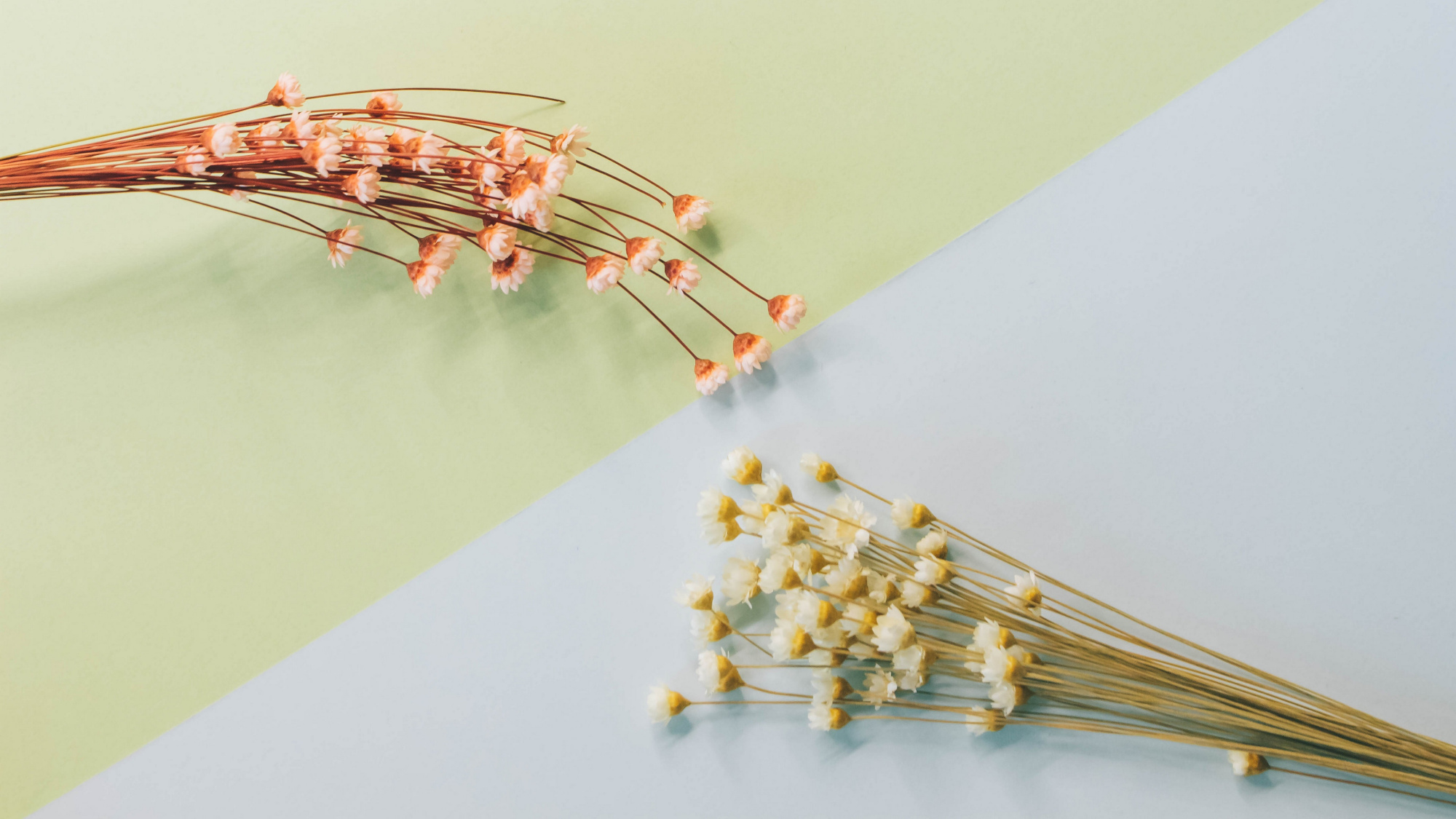 巨蟹座|11月上旬，往事随风，乌云散尽，3星座重新振作，迎接新的恋情