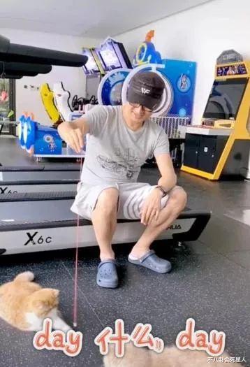 社交平台|章子怡两亿豪宅曝光，宫廷级装修太奢华，三层小楼还带泳池花园