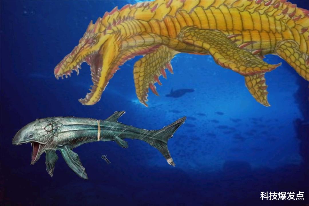 化石|3亿年前人类是一条鱼?人类生命起源,真的是世纪骗局吗?