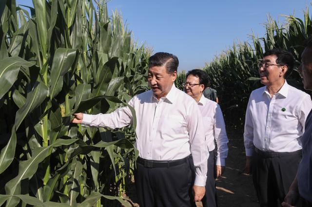 汽车销量|习近平在吉林考察时强调 坚持新发展理念深入实施东北振兴战略 加快推动新时代吉林全面振兴全方位振兴