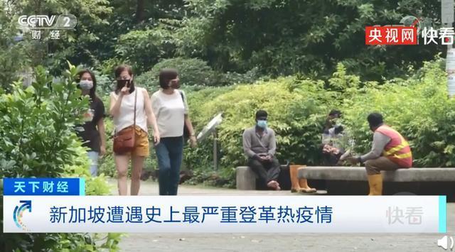 维多利亚州|新加坡遇史上最严重登革热疫情，今年感染病例已超20600例